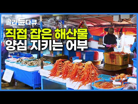 새벽부터 어부 남편이 해산물 바로 잡아와 아내가 직접 판매까지 하는 홍게잡이┃30년 주문진 어민 수산시장 홍게잡이┃바닷가 사람들┃#골라듄다큐