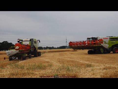 Claas - Fendt - Hawe / Getreideernte - Grain Harvest 2023