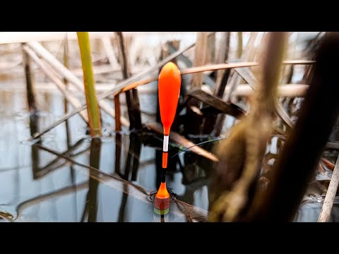 Простейшее ТЕСТО – клюёт ТОЛЬКО КРУПНЯК!! И почему я раньше ТАК не рыбачил?.. Карась на ПОПЛАВОК!!