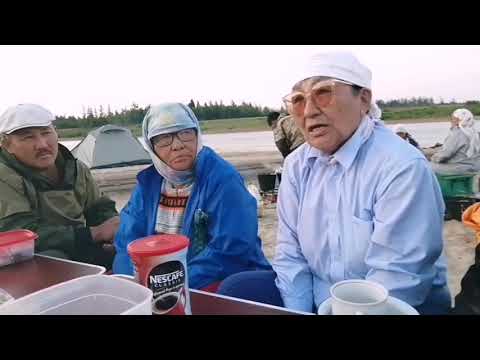 Тэйэр Хайа туһунан Харитонова Елена Петровна кэпсиирин истиҥ!