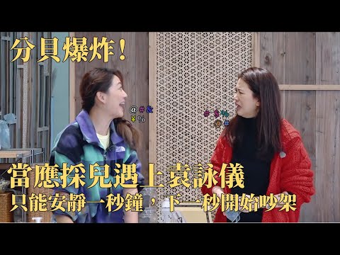 应采儿 袁咏仪吵架分贝太大！连见面礼都是耳塞！ #应采儿 #袁咏仪 #大湾区