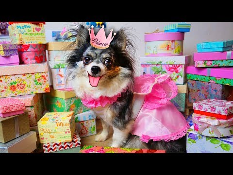 ДЕНЬ РОЖДЕНИЯ СОФИ 7 ЛЕТ! РАСПАКОВКА ПОДАРКОВ С ИГРУШКАМИ И ВКУСНЫЙ ТОРТИК ДЛЯ ВОЛШЕБНЫХ ПИТОМЦЕВ