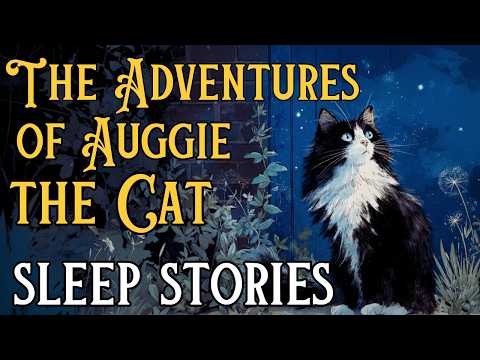 🐱BEST Sleep Stories Compilation: The Adventures of Auggie the Cat 🐱 Sleepy Cat Stories