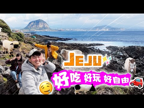 😭Best Jeju Road Trip Ever!💯 [4D3N] ｜济州岛自驾！催泪美食 ✅ 惊人风景 ✅ 可爱动物 ✅