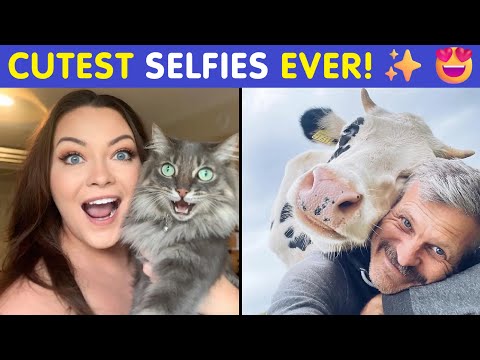 🎵 Funny & Wholesome Animal Selfies That Look Like Album Covers! 😹✨