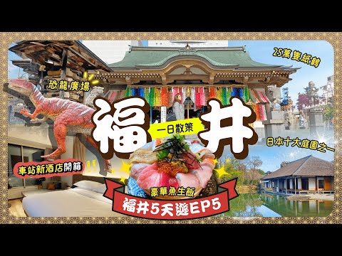 【福井】一日玩盡！平價美食處處🤩？來回關西名古屋只2.5小時🚄福井站夜景新酒店、市內徙步景點逐個數🌟隱藏版日本十大庭園｜藩主宅邸神社｜親子遊．一人旅｜北陸｜福井景點｜福井美食｜福井住宿｜日本中部自由行