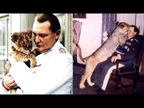 Hermann Göring's Pet Lions