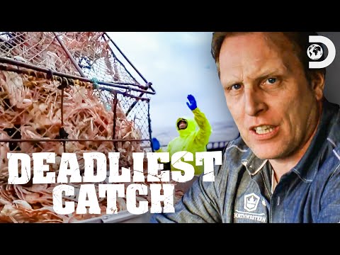 Holy Crab! 🦀 Most Insane Crab Hauls | Deadliest Catch | Discovery