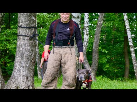 Иван Затевахин: Проблемные животные - от собаки до попугая