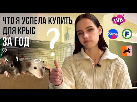 ✧ Что купить для крыс перед их появлением? ✧ Весь список моих ошибок и радостей
