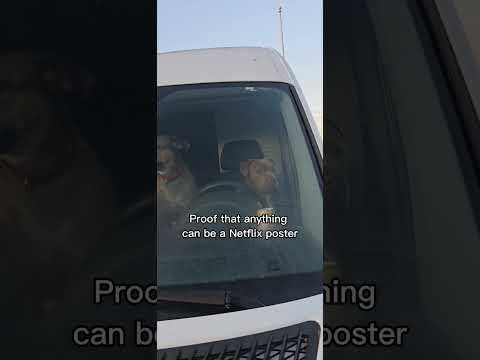 A movie about transporting dogs to their forever homes.