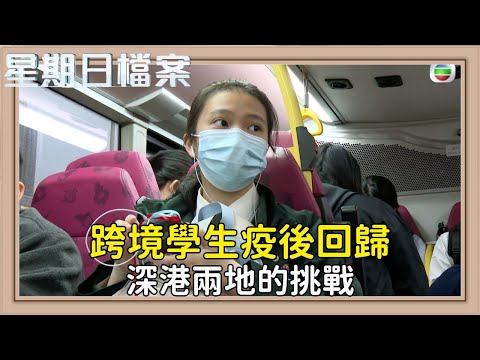 疫後跨境學子 重返香港校園的故事｜新聞 | 時事 | 資訊節目 | 星期日檔案｜Sunday Report