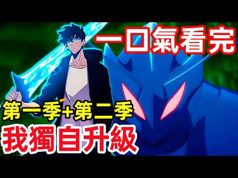一口氣看完【我獨自升級】第一季+第二季，兩季全集純享版，四月新番，動漫解說