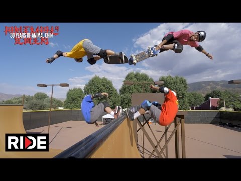 Animal Chin 30 Years - Tony Hawk, Steve Caballero, Mike McGill & Lance Mountain 2/4