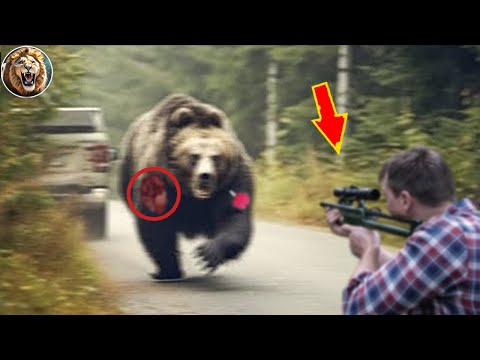 Animals That Asked People for Help & Kindness! #1 | D-Animals Grow Up 2024