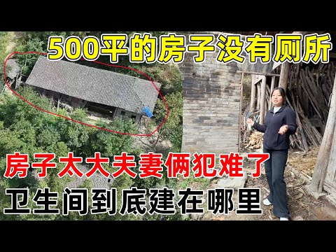 The newlyweds are facing a dilemma: their 500-square-meter house lacks a bathroom and toilet. The...