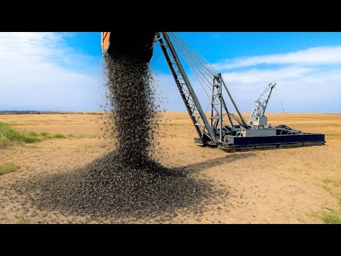 They Dropped Millions of Flies on Ants For 30 Years... What Happened Next Shocked Experts