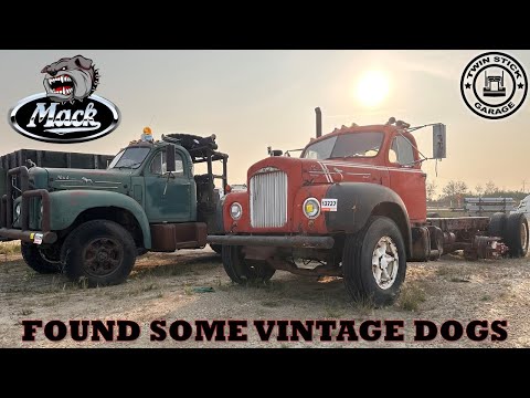 Classic B-model Macks - On The Hunt Ep.57