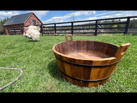 Making A Wooden Tub: Not As Simple As It Looks