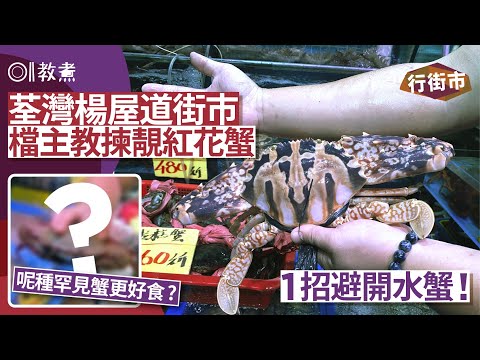 《行街市》楊屋道街市｜推介3種蟹比花蟹好？元貝$40斤 蠔$50桶 蟹$25｜荃灣街市｜楊屋道｜海鮮價格｜優質海鮮｜01教煮｜hk01