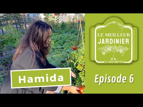 Concours Le Meilleur Jardinier - Episode 6 : Hamida