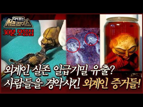 [다시보는 서프라이즈] 과학수사연구소 조사 결과, 외계인 추정? 고대부터 현대까지의 외계인 실존 증거 모음집! MBC130804방송