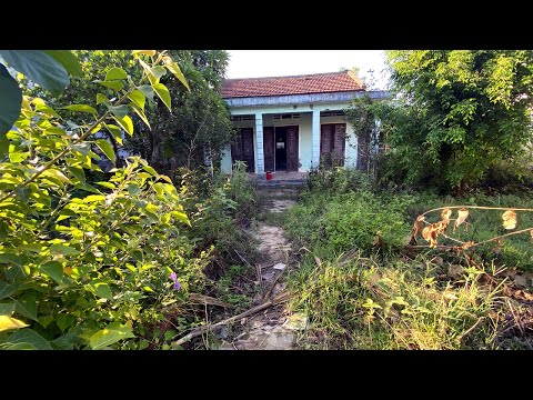 99 Hours to Revive an Abandoned House. The Results Make Everyone AMAZED