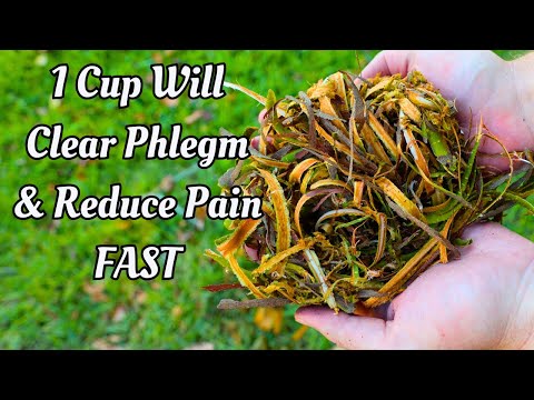 Your Grandma’s Cough Remedy- Centuries Old Herbal Remedy For A Nagging, Painful Cough