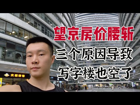 2025望京房价腰斩，SOHO写字楼也空了，租金从7元变3元，三个原因导致。凯德mall统战标语让人担忧，未来何去何从？