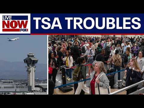 TSA troubles impact US airports amid staffing shortages