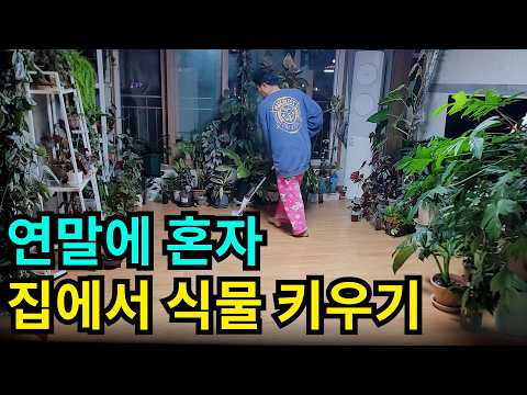 "🚨What's happening in the living room garden on New Year's Eve?" 🤫A bundle of memories encountere...