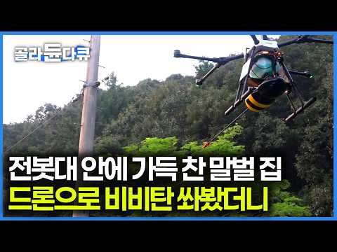 [ENG SUB] Beekeepers Fight Back as Killer Wasps Kidnap Honeybees in Deadly Summer War #PICKDOCU