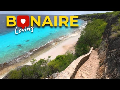 Top Things to Do in Bonaire - Visit Rincon + Snorkeling the Reef