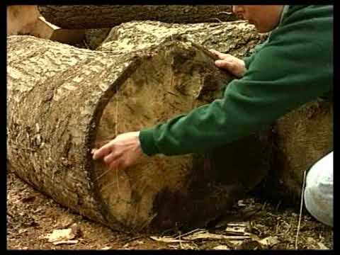 How to Build Green Timber Buildings, Historic Timber Frame Houses