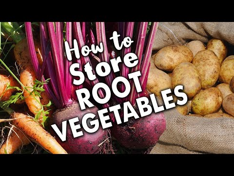 The Best Way to Store Root Vegetables