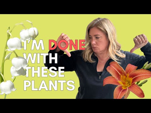 7 plants I'll never grow again* 🌿 (*probably 😃)