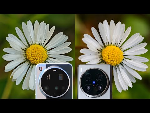 Xiaomi 15 Ultra vs Vivo X100 Ultra│Macro Photo, Video, Minimal Distance, Pro-mode.