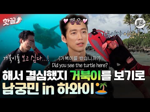 [#핫끌] "알잖소. 내가 원하는 거 딱 한 가지뿐이지. 하와이 거북🐢" 궁민 배우 남궁민의 하와이 출장 모음집🏝️ #남궁민 #나혼자산다 #연인