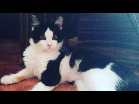 Как мы нашли Васю в Волгограде. Очевидное и невероятное.