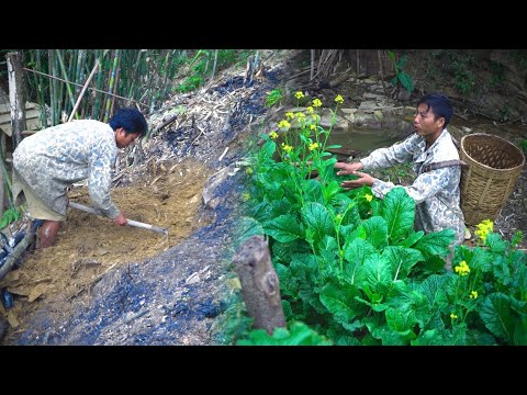 3 Months in 22 Minutes - Video Summary from Soil Creation to Vegetable Harvest!