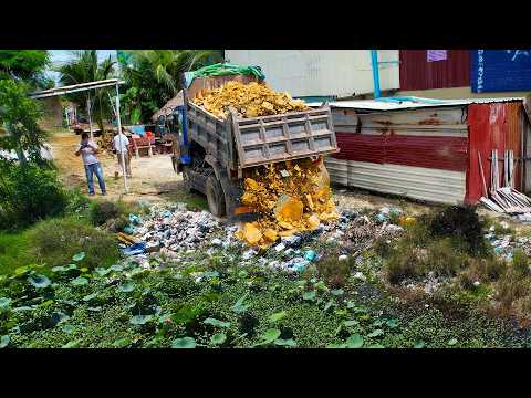 First Start New Project! Landfill Delete Deep Pond Using Dozer D20P KOMATSU Pushing Stone Into Water