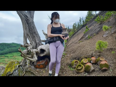 Amazing Thousand-Year-Old Treasure Buried Under a Tree with a Curse That I Almost Missed