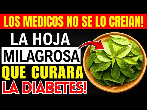 This sheet lowers blood sugar, melts fat, and cleanses arteries fast!
