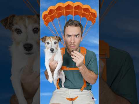 I 3D printed dog toys