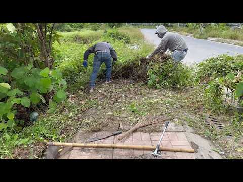 CLEAN UP both sides of the SIDEWALK CORRIDOR from overgrown grass SHOCK Transformation