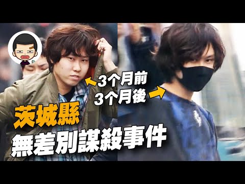 日本震怒！虐貓、傷害小女孩被縱容，又涉嫌滅門并整容丨英大吉