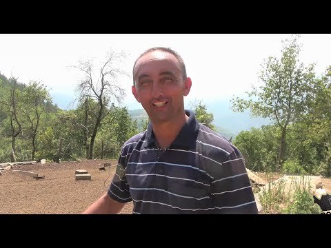 Žena mu treba pod HITNO, nije važno koje boje. Miloš da se smiri a ona da živi kao gospođa