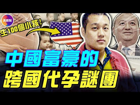 中國富豪借美國代孕生100多個孩子！美國代孕產業暴增4倍，中國是最大力量！代孕生子：中國權貴的秘密資金轉移通道！#真觀點 #真飛