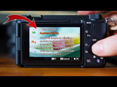 The BEST Settings for Photography ZV-E10 mark 2