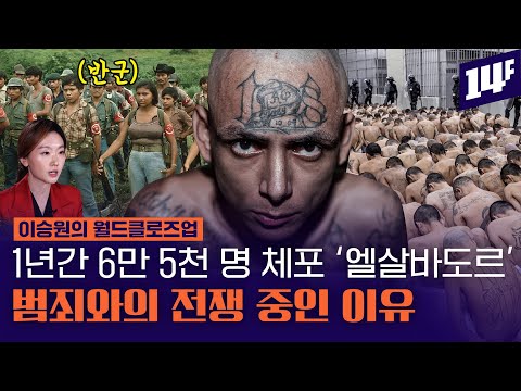 “갱단이 군인, 경찰을 합친 것 보다 많다” 12년 내전이 만든 엘살바도르의 비극 / 14F